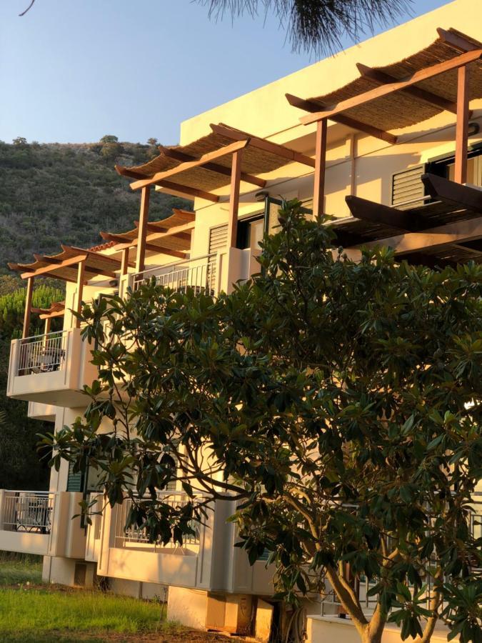 Hotel Amalia Kalogria (Achaea)